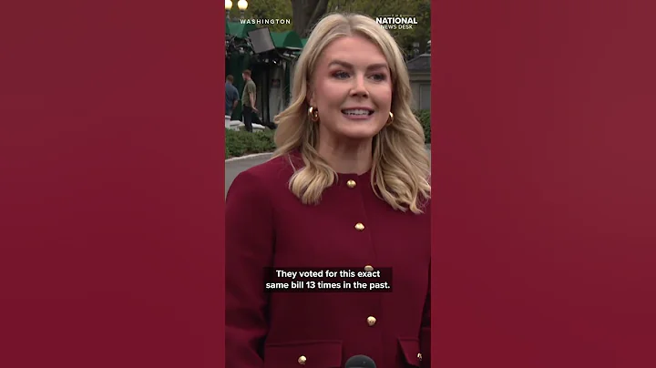 Trump meeting with Democrat leaders 'last chance to reasonable,' avoid government shutdown: Leavitt