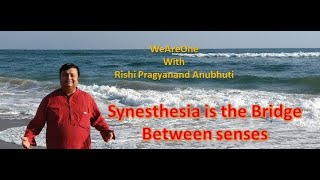 Session 91A-Synesthesia is the Bridge Between Senses