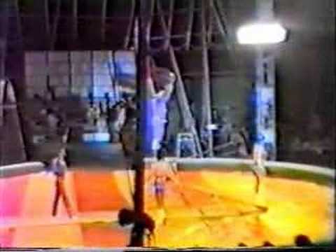 Mihaylovi Hand voltize SpringBoard