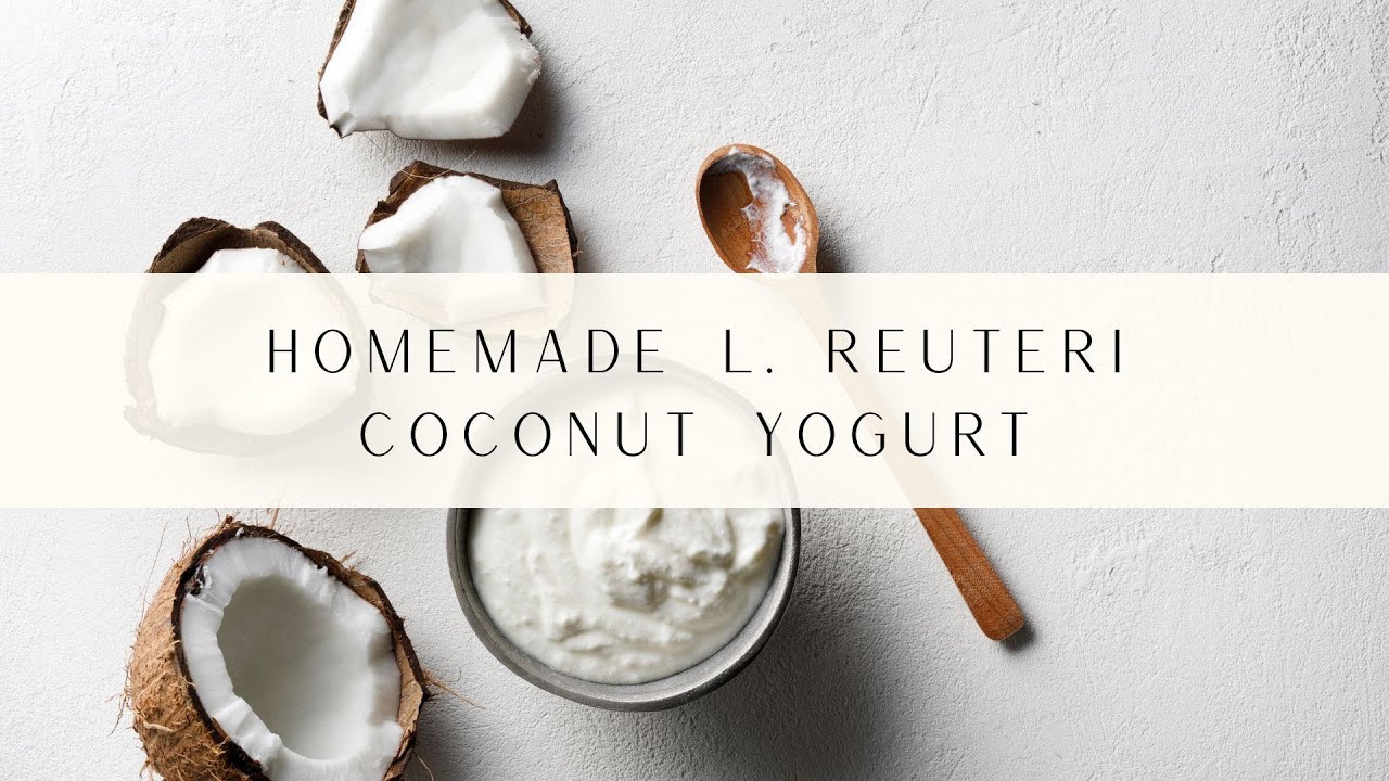 Homemade L. Reuteri Coconut Yogurt Recipe