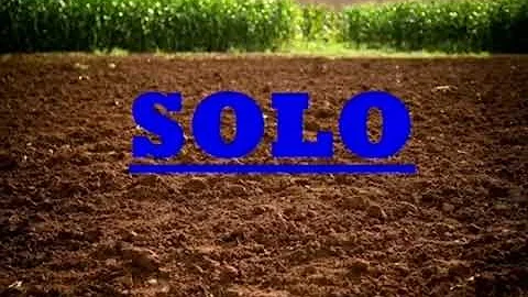 O que podemos encontrar em um solo?