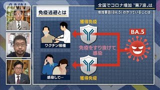 夏休み控え…再感染のケースも『BA.5』特性は？ワクチン効果は？忽那教授に聞く(2022年7月4日)