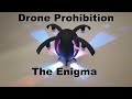 Drone Prohibition: The Enigma