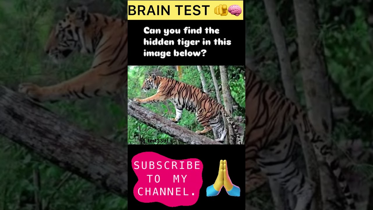 Find the hidden tiger ? 