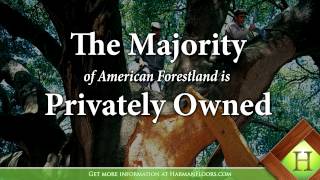 Responsible Practices in Forest Management