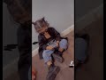 مثل السكر بالميه مذوبني مثل السكر بالميه مذوبني