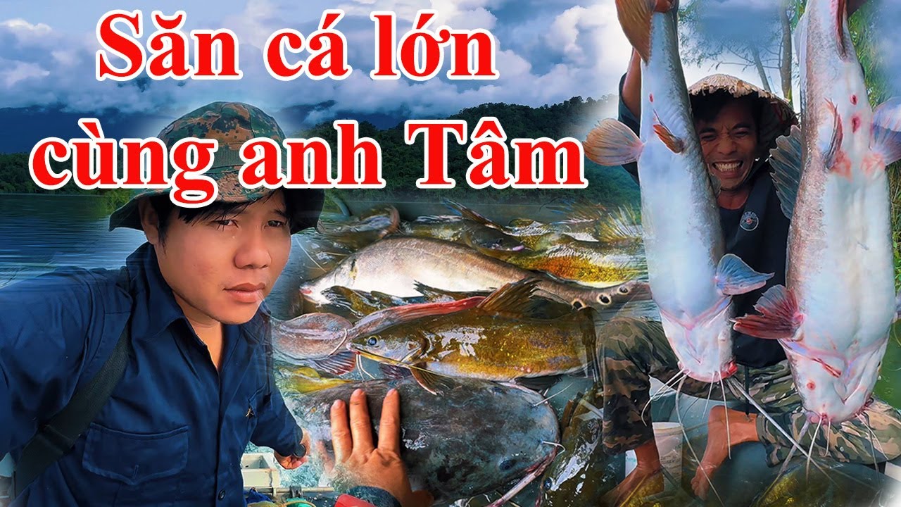 Toàn cá lớn vô bờ khi nước lên chạm mé rừng