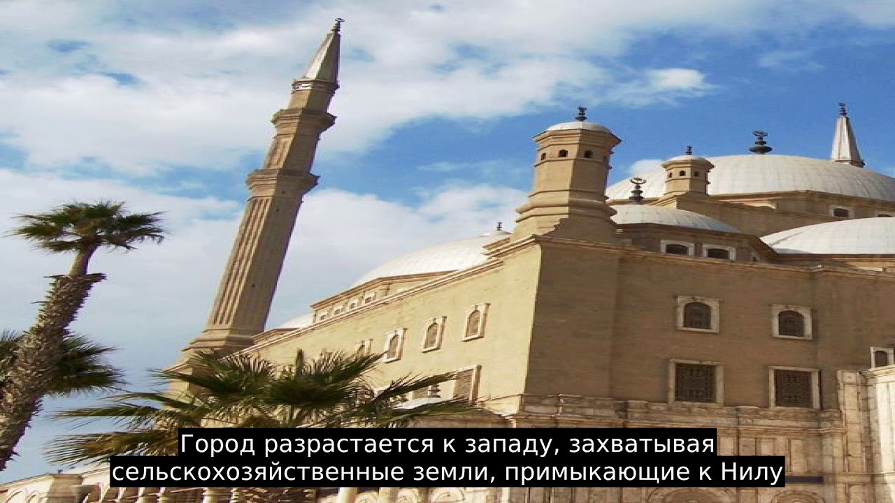 Каир авто затобольск