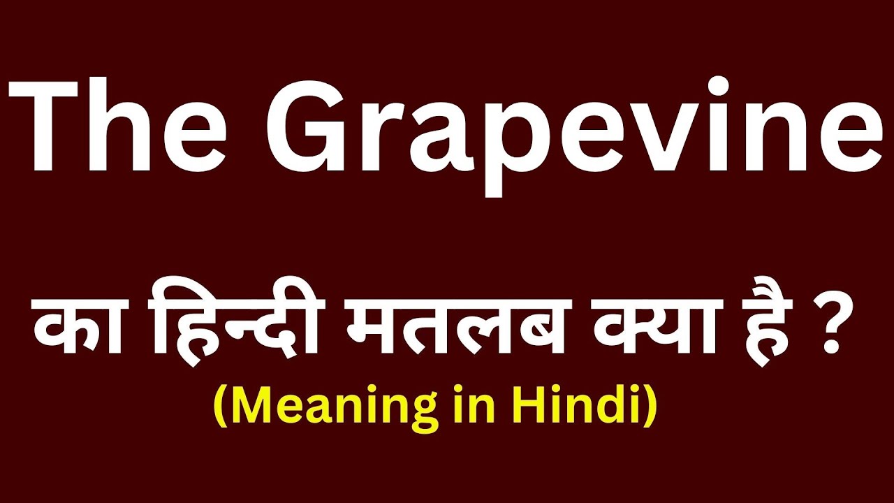 the-grapevine-meaning-in-hindi-the-grapevine-ka-matlab-kya-hota-hai