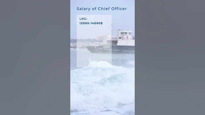Merchant Navy | Chief Officer Salary #shorts #job #merchantnavy #trending #salary #viral #status #yt