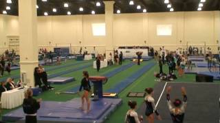 20100129 Paige Vault.mpg