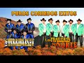 LOS TRAILEROS DEL NORTE y LOS TERRIBLES DEL NORTE - LOS MEJORES EXITOS DE PUROS CORRIDOS EXITOS