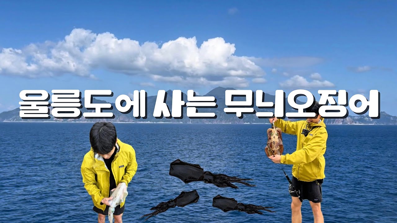 울릉도 낚시 여행 | 마지막 날 성공한 무늬오징어 낚시