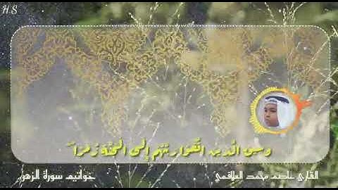 سورة الزمر. عاصم محمد العلاقمي