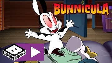 Bunnicula | Witch Wants Bunnicula | Boomerang UK 🇬🇧