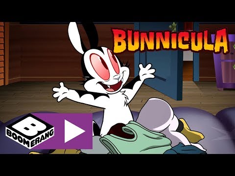 Bunnicula | Bunnicula's Gang: The Bunny Boys | Boomerang UK 🇬🇧