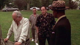 The Sopranos - Tony Soprano meets Massive Genius