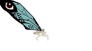 Mothra test