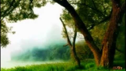 تلاوه مؤثره للشيخ أحمد السعيد مندور صلاة التهجد 1430