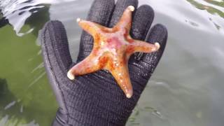 Hannah Cook Demo Reel 2016