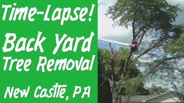 Time Lapse: Removing the old Locust Tree