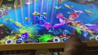 Thánh bắn cá nổ 100 triệu khiến chủ quán phát hoảng screenshot 3