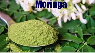 Moringa The Super Food in World  मोरिंगा क्या है ? क्यो है ये सबसे अनमोल ? कैसे इस्तेमाल करे ? 