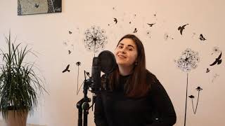 IRINA - Familia [cover Mariana Mihăilă]