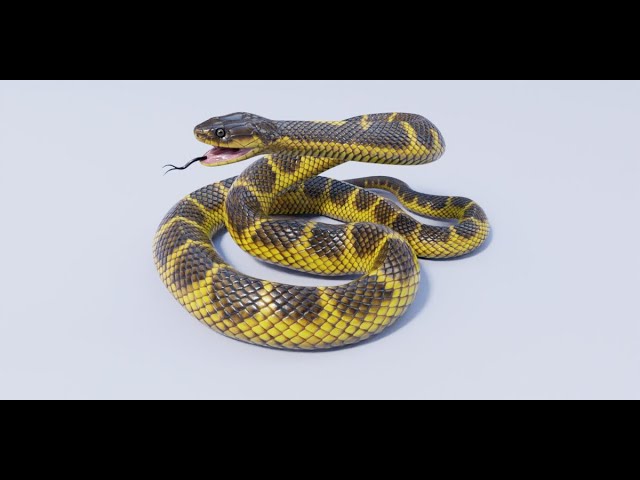 Animated Garter Snake - 3D Model by Dibia Digital