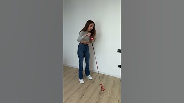 Making Engaging Content with Your Pet is Easy with the VJump App