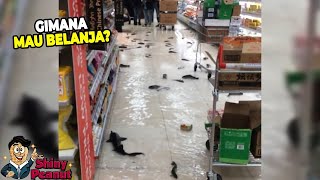 Kalo Gak Direkam Gak Bakal Ada yang Percaya, Ikan Berenang di Supermarket