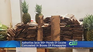 Authorities Seize Cocaine Hidden In Pineapples For Second Time In One Week