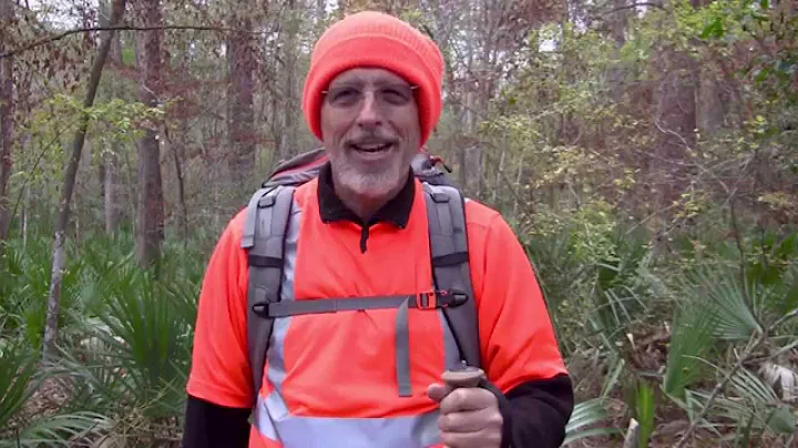Backpacking on Vulture Island - Stubblefield Lake in the Sam Houston National Forest, Texas