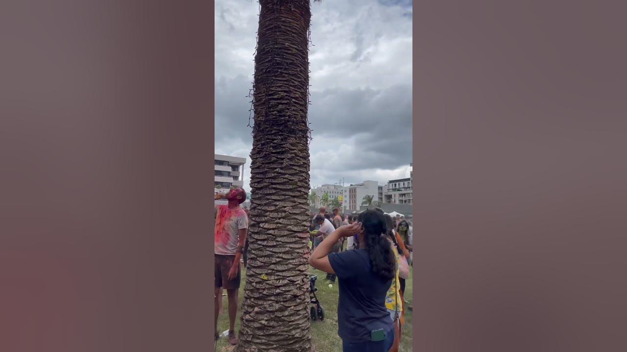 holi festival parramatta