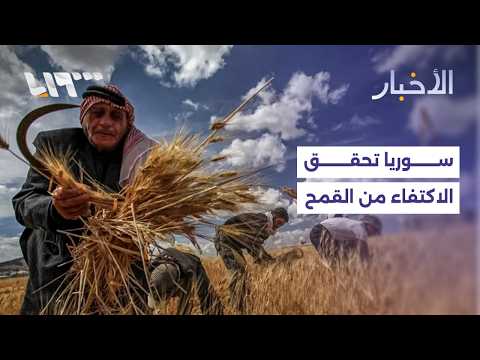 المؤسسة السورية للحبوب تعلن عن تحسن ملحوظ في إنتاج القمح هذا العام