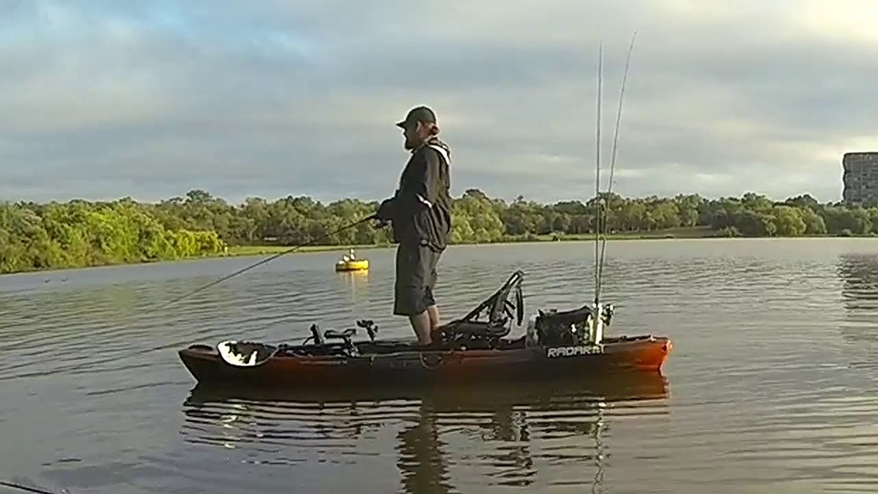 Yellow Belly fishing with Wildy Atak and Radar kayaks by Rod N Paddle