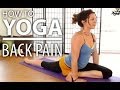 Yoga for back pain  30 minute back stretch sciatica pain  flexibility yoga flow