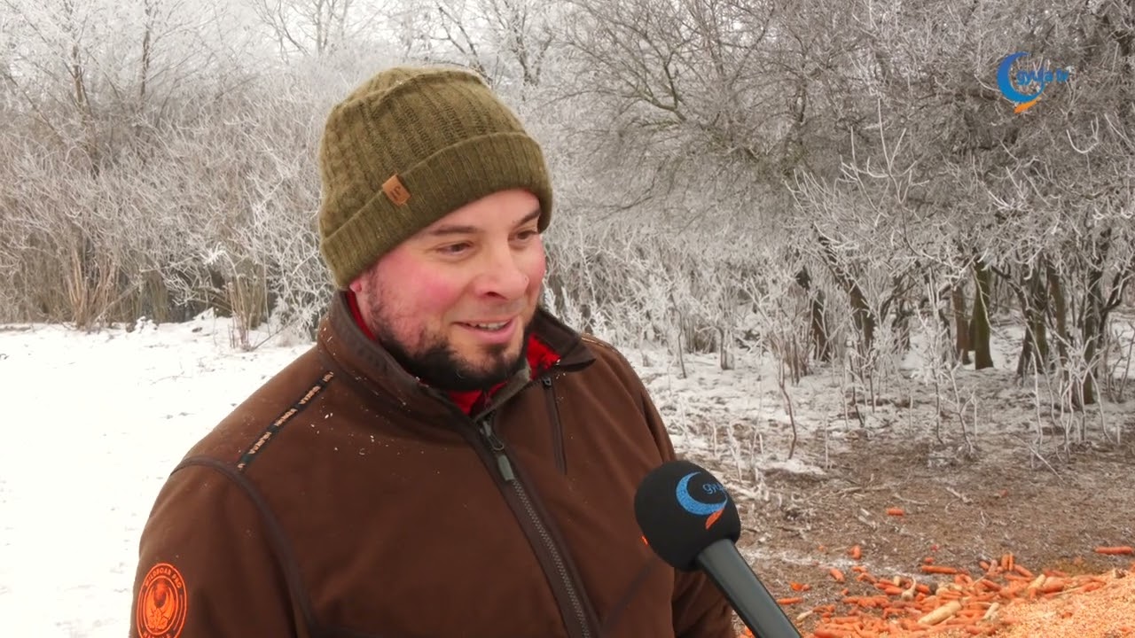 Békés vadállománya: fokozott a gondoskodás
