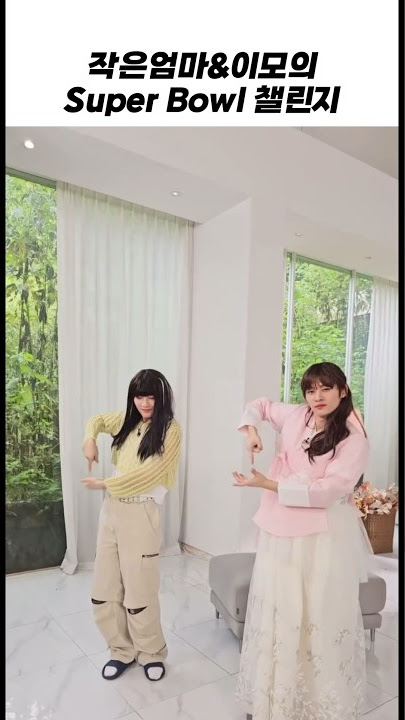 작은엄마와 그의 동생의 Super Bowl 챌린지 [스트레이키즈/아리랑/리노/아이엔]