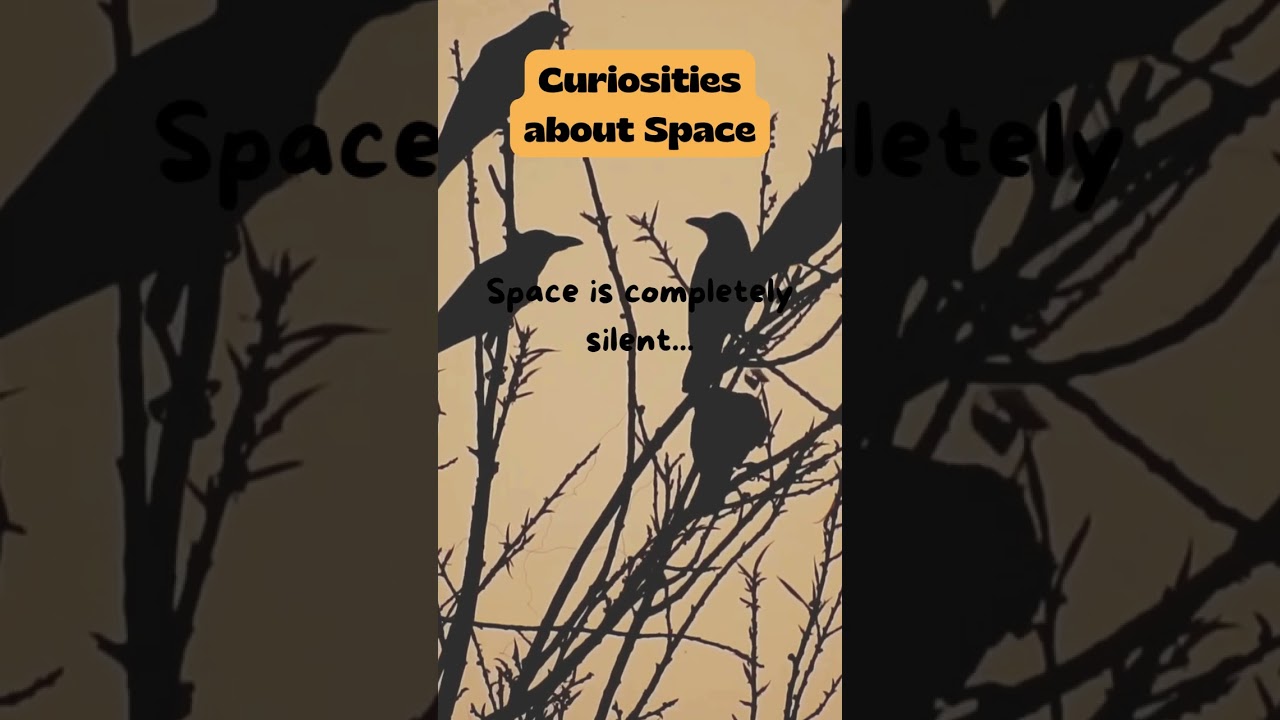 Curiosities about Space #33