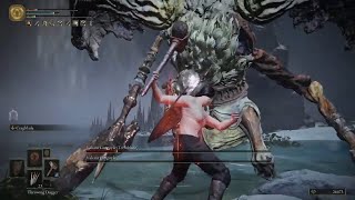 Elden Ring - Valiant Gargoyles (RL1 NG+7, No Damage, No Crystal Darts)