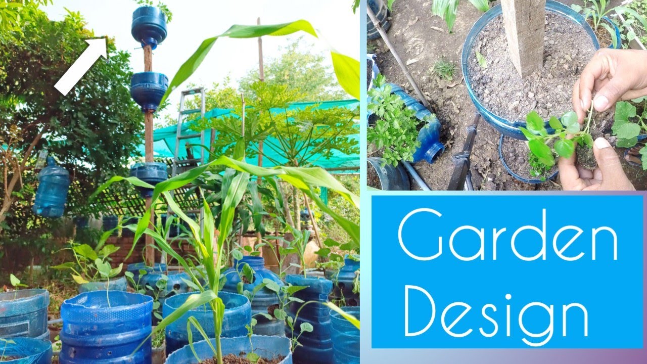 Garden Design/Organic vegetables