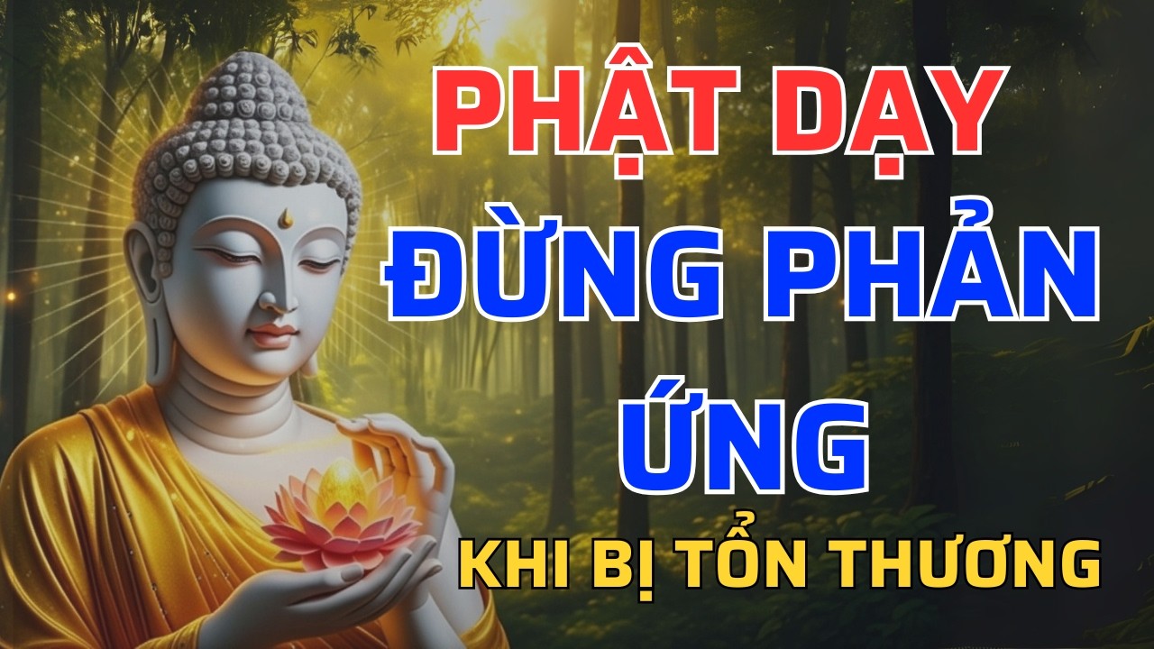 Khi Bị Tổn Thương, Phật Dạy Đừng Vội Phản Ứng – Hiểu Điều Này Cuộc Đời Sẽ Bình An Hơn | Tâm An audio