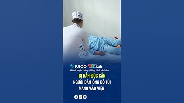 Mang theo rắn độc đã cắn mình khi vào viện cấp cứu | BẢO HIỂM PJICO