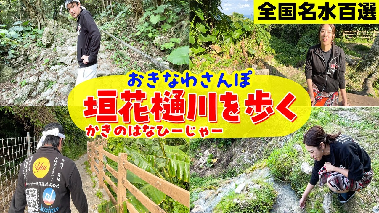【おきなわさんぽ】一緒に垣花樋川を歩きませんか？【歩かないと見れない沖縄の景色】