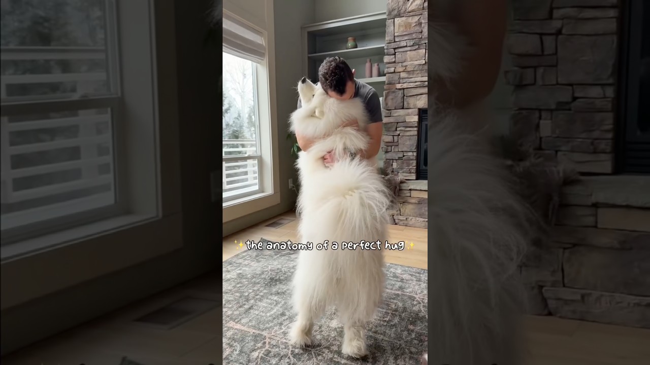 Объятия, которые исцеляют, объятия, которые снова дарят ощущение целостности ❤️🥹 