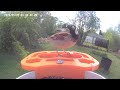 Birds video afternoon today 