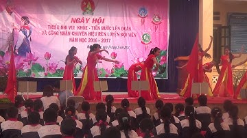 ca múa Hào Khí Việt Nam năm 2016-2017