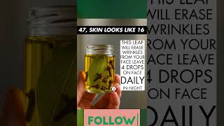 Famous Bay Leaf Anti Aging Oil Profile