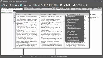 How to Use the Parallel Versions Window BW10